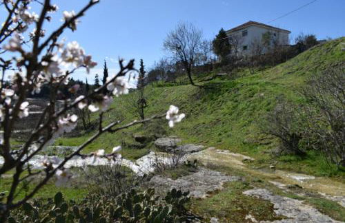 Oasis of CalmnessΕ - Foto 1