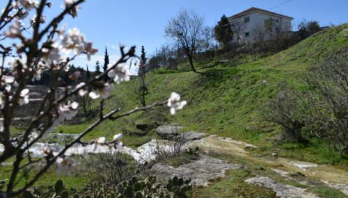 Oasis of CalmnessΕ - Foto 1