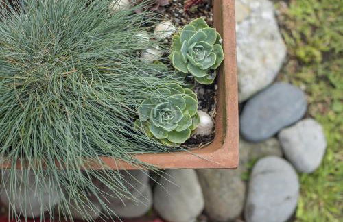 Tri Pysgodyn - Photo 23