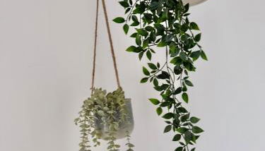 Modernes Apartment im Süden Leipzigs - Foto 2