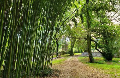 Dreamy Château for big groups and their pets - Foto 10