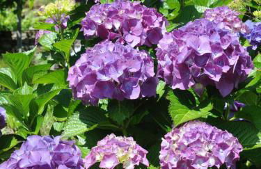 Casa do Valo - Foto 79