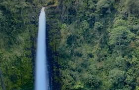 Ocean view Mauna Loa Shores Kai Ekahi #201 next to Carlsmith Beach Park Hilo HI - Foto 42