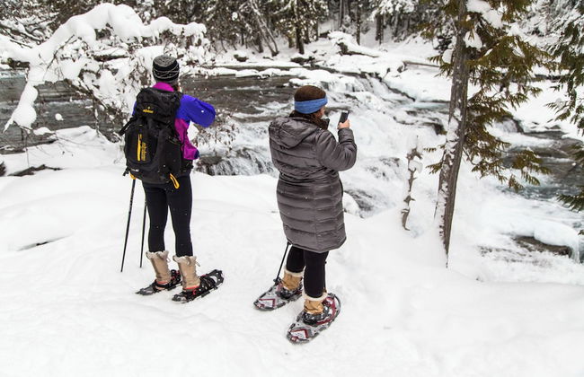 Apgar Lookout Suites - Photo 31