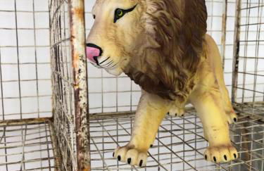 La Casa Del Racou - Photo 40