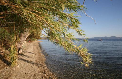 Ξενωνας Νιμπη - Photo 12