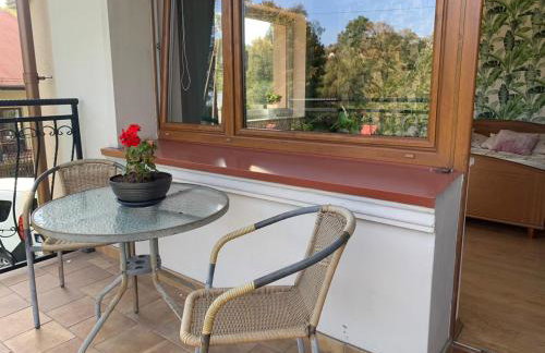 chillout w Rychwaldzie - Foto 11