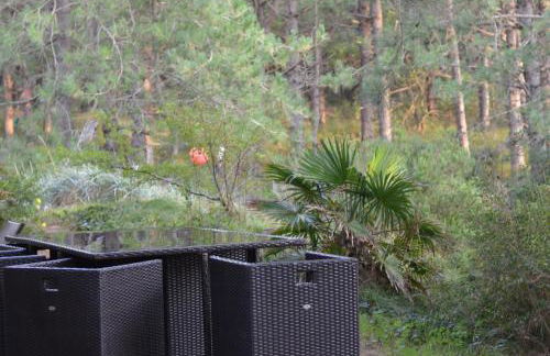 La villa dans les pins - Photo 23