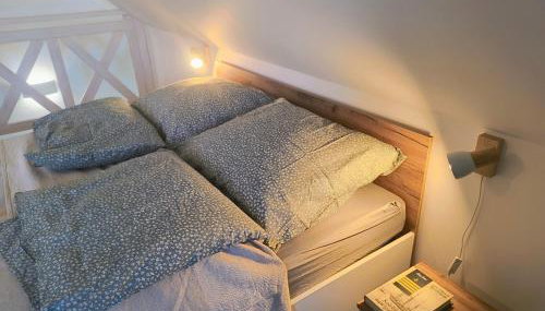 Ptasi Zakątek - Foto 5