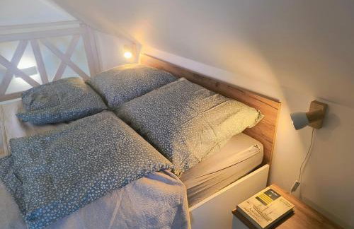 Ptasi Zakątek - Foto 5