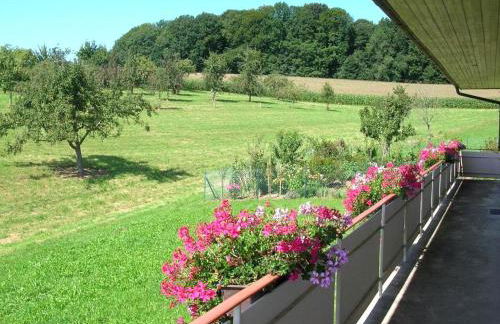 Fewo Siglinde Schneider - Foto 26