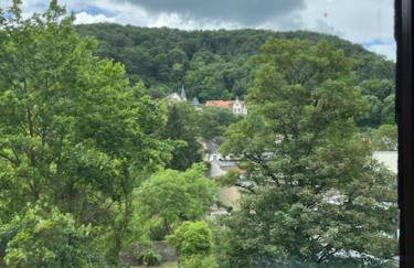 Gemütliche EG-FeWo im Haus zur Vulkaneifel in Brohl - Foto 16