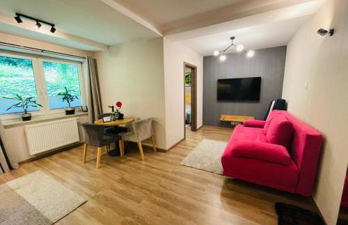 Apartament Góry i Potok - Foto 2