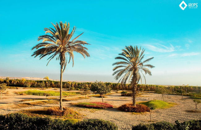 HOP Mykonos en Playa y Naturaleza de Chincha - Foto 8