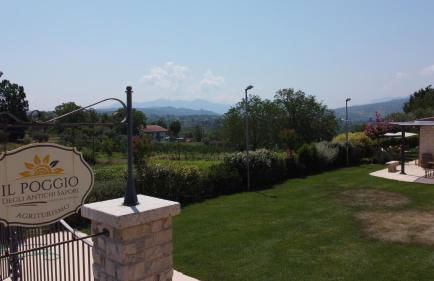 Il Poggio degli Antichi Sapori - Residence - Foto 54