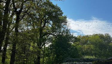 Hof Bahrenwinkel - Foto 2