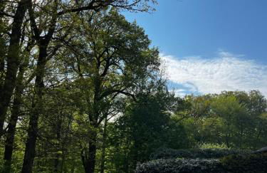 Hof Bahrenwinkel - Foto 2