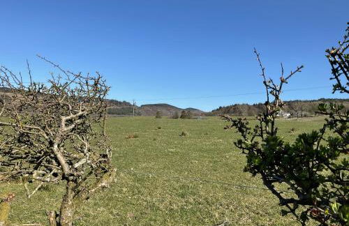 Heron Lodge, edge of Mabie Forest Dumfries - Photo 41