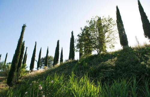 Agriturismo Poggio Corbello - Foto 95