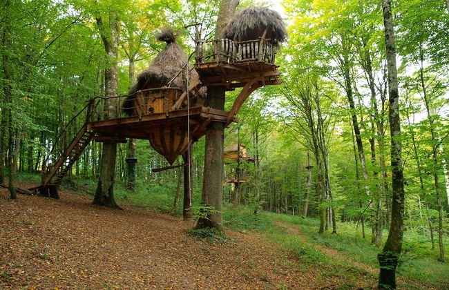 L'Arbre à Cabane - Foto 6