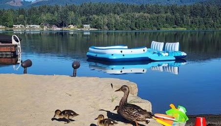 Lux Lakefront Estate, Sandy Beach, Hot Tub, Sauna, Dock, Treehouse & Deck - Foto 2