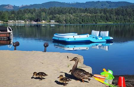 Lux Lakefront Estate, Sandy Beach, Hot Tub, Sauna, Dock, Treehouse & Deck - Foto 2