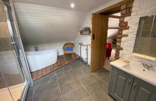 No 2 Dolheulog Aberaeron - Foto 14