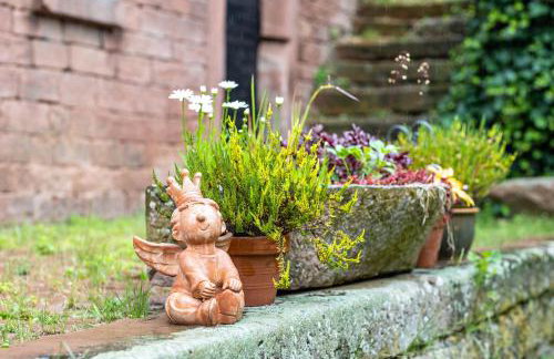 Hof Helmenhube 1 - Photo 20