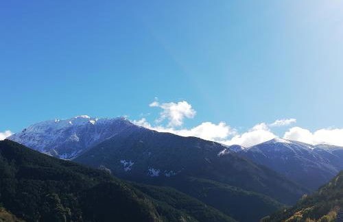 Edelweiss - Photo 18