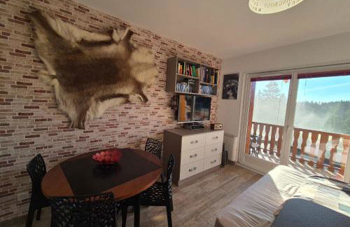 Cozy apartment "WAPITI" at the foot of the slopes - Foto 39