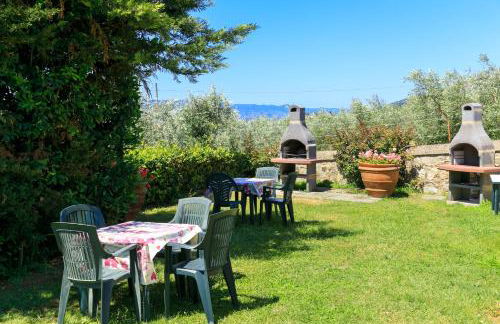 Agriturismo Fattoria di Sommaia - Foto 103