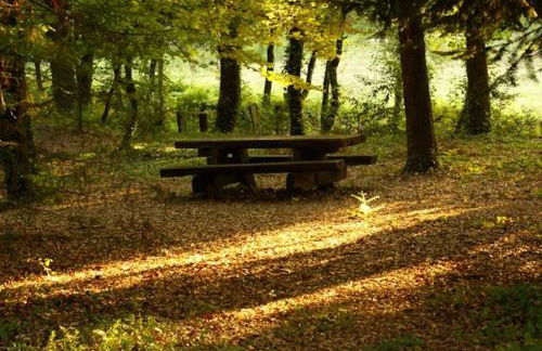 Quinta da Fontoura - Foto 32