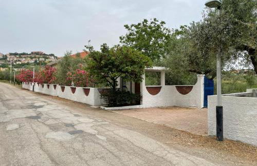 Il Giardino degli Ulivi - Foto 13