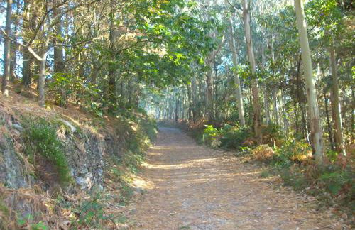 Apartamentos Rurales "La Torre" y "El Pielago" - Foto 74