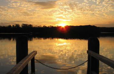 Residenz Zum Kronprinzen Bad Saarow - Foto 22