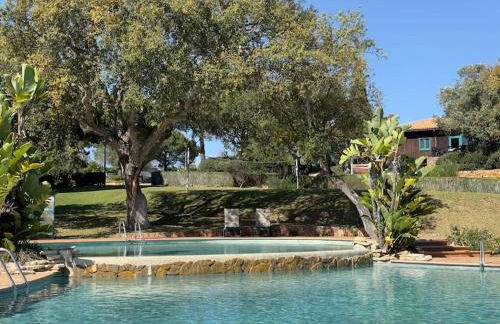 Balaia Golf Village apt 105 - Foto 36