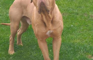 Domaine de la Dune Gite entre Terre et Mer - Foto 15