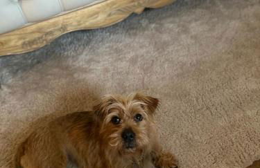 Keenaghan Cottage Belleek Fermanagh Northern Ireland - Foto 8