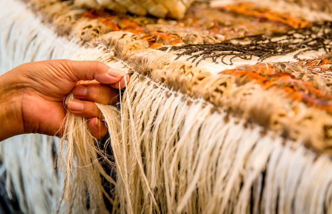 Escursione a Rotorua, Wai-O-Tapu e Te Puia - Foto 4