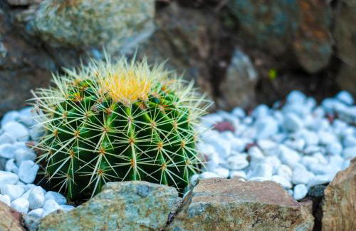 Villa Eliodora - due appartamenti - Foto 63