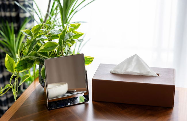 Primavera Namba - Foto 22