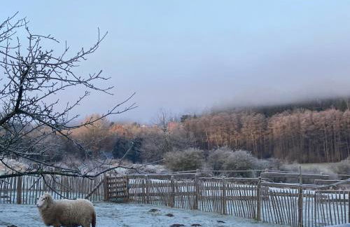 Gut Kalkhäuschen, ein Ort mit Geschichte - Foto 6