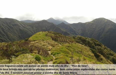 Cantinho da Ilha - Guest House - Photo 143