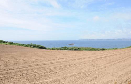 Wheal Charlotte Cottage - Photo 22