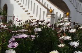 Masseria Celentano Relais & Agriturismo - Foto 51