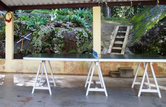 Chácara do Alemão - Recanto Jd.Silvestre - Foto 28