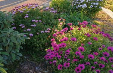 Oasi di san Benedetto - Foto 18