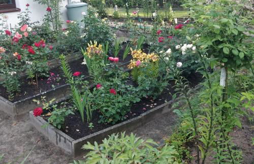 Gästehaus am Teich - Foto 6