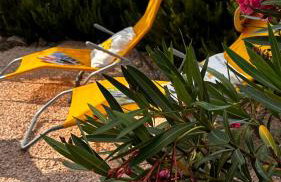 Kuća za odmor Velebit by the sea - Photo 35