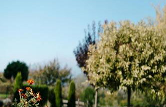 Ca' Dottori - Foto 27